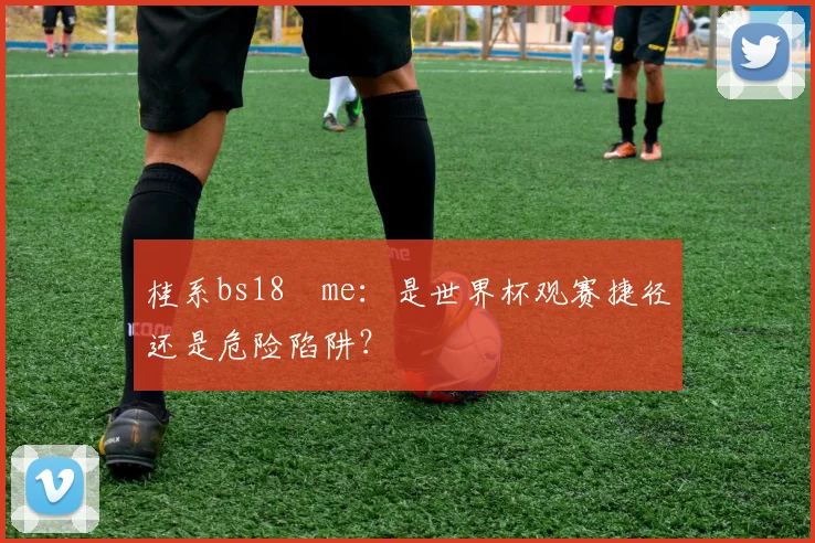 桂系bs18婰me：是世界杯观赛捷径还是危险陷阱？