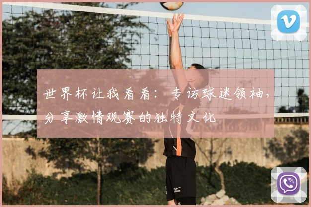 世界杯让我看看：专访球迷领袖，分享激情观赛的独特文化