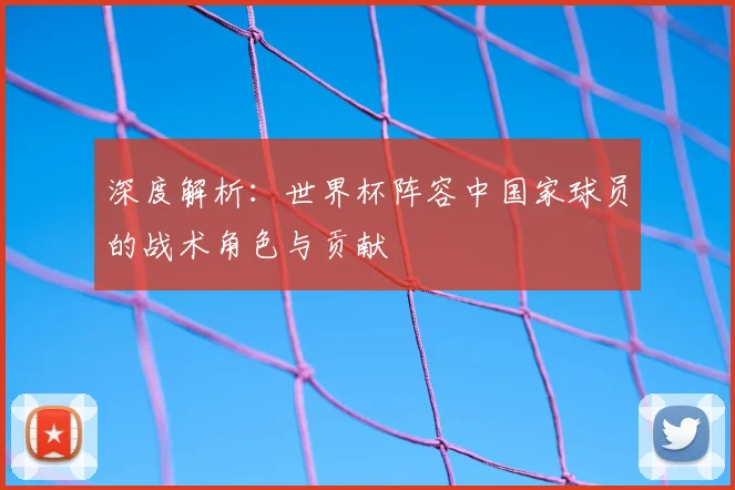 深度解析：世界杯阵容中国家球员的战术角色与贡献