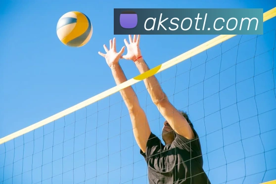 多媒体互动体验